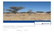 PREFEASIBILITY STUDY FOR BIOMASS POWER PLANT, NAMIBIA · Studies were done with the DigSilent PowerFactory simulation program on the NamPower database that has been developed on this