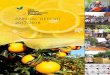 ANNUAL REPORT - CGA-GDC · 2019-01-22 · 1 CGA GROWER DEVELOPMENT COMPANY ANNUAL REPORT 2017/2018 This publication is available from: CGA Grower Development Company Block B, First