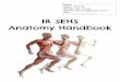 IB SEHS Anatomy Handbook 2019-05-31آ  Axial Skeleton - Overview 6 Axial Skeleton - Vertebral Column