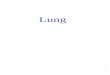 2011 CRIT CARE US- Lung - sah.org.au Doctors/2011-crit-care-us... · 16 A lines, B lines & other lines Broadly speaking, A lines are associated with air in a PTX or with dry lungs