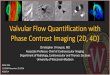 Valvular Flow Quantification with Phase Contrast Imaging ......Valvular Flow Quantification with Phase Contrast Imaging (2D, 4D) Christopher J François, MD Associate Professor, Chief