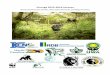 Virunga 2015-2016 Surveysigcp.org/wp-content/uploads/Virunga-Census-2015-2016-Final-Report-2019-with-French...5 Virunga 2015-2016 Surveys Monitoring Mountain Gorillas, Other Select