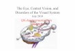 The Eye, Central Vision, and Disorders · retina, most of its fibers cross at the optic chiasm and form the optic tract. Each optic tract innervates the contralateral relay station