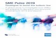 SME Pulse 2019 - American Express · 2019-04-20 · 7 SME Pulse 2019 Strategies to boost the bottom line Introduction For the last three years, Oxford Economics has worked with American