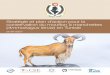 Stratégie et plan d’action pour la conservation du mouflon ...sandro.lovari@gmail.com caprinae Stratégie et plan d’action pour la conservation du mouflon à manchettes (Ammotragus