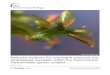 Photo by Manuel Hi Molecular evidence for convergent ... · Funaria hygrometrica, featuring a sporophyte morphology which is more complex. Their considerable developmental variation