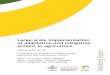 Large-scale implementation of adaptation and mitigation actions … · 2017-04-22 · Working Paper Large-scale implementation of adaptation and mitigation actions in agriculture