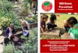 Mill Grove Pre-school - Open Objects · 2019-04-01 · The Mill Grove Pre-school For children aged 2-5 years Play gives children a chance to prac tice what they are learning. - red