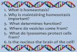 1. What is homeostasis? 2. Why is maintaining homeostasis ...ihsmoberlybiology.weebly.com/uploads/3/8/4/4/38441337/cell_structure_day_2.pdf•Around the room there are 16 microscopes