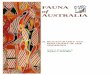 FAUNA of AUSTRALIA - Department of the …...analysis of increasingly large data sets. Examples involving the Australian fauna include the squamates (Estes, de Queiroz & Gauthier 1988),