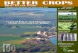 BETTER CROPS - International Plant Nutrition Institute · The 2015 soil test summary by the International Plant Nutrition Institute (IPNI) was the largest ever conducted (IPNI, 2016)