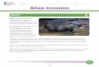 Name: Date: Alien Invasioneunit.plt.org/wp-content/uploads/sites/2/2017/04/3-5_A6_AlienInvasion.pdf · PROECT EANING TREE Energy in Ecosystems E-Unit nvasive Species Alien Invasion