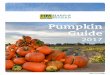 Pumpkin Guide - HM.CLAUSE · MUNCHKIN Miniature ornamental for speciality markets. Early maturity Full vine with good yield Excellent bright orange color Trim stems for easy packing