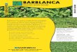 GRAZING WhIte CloveR - Barenbrug Barblanca 2.pdf · Barblanca white clover is a large-leaved intermediate white clover - combining production and persistence. It is a perennial legume