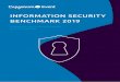 INFORMATION SECURITY BENCHMARK 2019...6 INFORMATION SECURITY BENCHMARK 2019 PARTICIPANTS’ INFORMATION This year’s Information Security Benchmark is based on the statements of 105