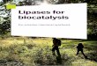 Lipases for biocatalysis - Novozymes · Enzyme catalysts work by lowering the activation energy (Ea‡) for a reaction, thus dramatically increasing the rate of the reaction. As a