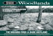 CONNECTICUT Woodlands MAGAZINEAbout Connecticut Forest & Park Association and Connecticut Woodlands Magazine Connecticut Woodlands is a quarterly magazine published since 1936 by CFPA,
