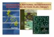 PHILIPPINES: NATIONAL BIODIVERSITY STRATEGY AND ACTION PLAN … · 2008-02-12 · PHILIPPINES: NATIONAL BIODIVERSITY STRATEGY AND ACTION PLAN (NBSAP) National Biodiversity Strategy