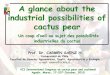 A glance about the industrial possibilities of cactus pear · A glance about the industrial possibilities of cactus pear Un coup d’oeil au sujet des possibilités industrielles