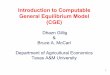 Introduction to Computable General Equilibrium Model (CGE)agecon2.tamu.edu/people/faculty/mccarl-bruce/685/topic8-mcp.pdf · The Multivariate Newton-Raphson x = x*- J-1(x*) f(x*)