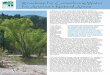 Roadmap for Considering Water for Arizona’s Natural Areas · 2016-11-15 · Roadmap for Considering Water for Arizona’s Natural Areas In Arizona, as with many other arid regions,