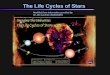 The Life Cycles of Stars - MEEKS SCIENCE SITE · The Life Cycle of Stars “Average” Stars (Sun-like) Massive Stars ... neutron stars or black holes. 1) Massive Stars •enormous,