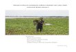 WATER HYACITH COVERAGE SURVEY REPORT ON LAKE …bdu.edu.et/sites/default/files/publication/Water_Hyacinth_Lake Tana_Report Series 1.pdfWATER HYACITH COVERAGE SURVEY REPORT ON LAKE