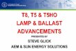 T8, T5 & T5HO LAMP & BALLAST...• GE and Sylvania also have 28W versions. • All of these save considerable energy and having about the same performance as basic grade SP/700 series