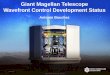 Giant Magellan Telescope Wavefront Control …iac.es/congreso/AO4ELT5/media/monday/ao4elt5_bouchez.pdfOn-Instrument Wavefront Sensors 26 June 2017 Adaptive Optics for Extremely Large