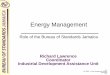 Energy ManagementEnergy Management Role of the Bureau of Standards Jamaica BSJ ISO 50001 – Energy Management Systems 2012/05/31 RAL Existing Situation JAMAICA •GOJ monthly energy