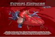 Primal Pictures - Online Learning Consortium · Anatomy.tv – Enhancing teaching and learning for hundreds of health science programs. ... Dental Hygiene and 3D Real-time dentistry