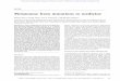 Melanoma: from mutations to medicinegenesdev.cshlp.org/content/26/11/1131.full.pdf · perficial spreading melanoma, nodular melanoma, acral lentiginous melanoma, and lentigo maligna