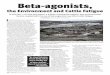 Beta-agonists, the Environment and Cattle FatigueTitle Beta-agonists, the Environment and Cattle Fatigue Author Katie Allen Subject In this Part 1 of a two-part series, a K-State veterinarian