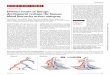 HEMATOPOIESIS Distinct routes of lineage development ... · RESEARCH ARTICLE SUMMARY HEMATOPOIESIS Distinct routes of lineage development reshape the human blood hierarchyacross ontogeny