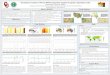 Breakpoint analysis with the BFAST algorithm applied to ...Breakpoint analysis with the BFAST algorithm applied to global vegetation index Laura Holtzman1, Kirsten M. de Beurs1 1Geography