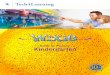 Guide for Parents: Kindergarten - Wixie · Kindergarten Guide for Parents: 2 122314536564 What is Wixie? Wixie is an online tool your child can use to write, paint pictures, and tell