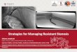 Strategies for Managing Resistant Stenosis · Qiantai HONG, Enming YONG, Sadhana CHANDRASEKAR, Glenn TAN Vascular Surgery Service, Department of General Surgery, Tan Tock Seng Hospital