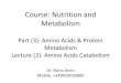 Course: Nutrition and Metabolism - National University acid catabolism.pdf · Fate of amino acids in the body 1. Amino acids are used for protein synthesis 2. Amino acids are used