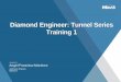Diamond Engineer: Tunnel Series Training 1northamerica.midasuser.com/web/upload/sample/...behavior during tunnel excavation processes, detailed 3D numerical analysis is vital. Midas