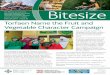 Bitesize - Home | Public Health Network activity initiatives in Wales Bitesize February 2011 | Issue