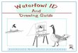 California Waterfowl Association · 2017-12-01 · Step VI: Shading-Shading in gradation Gradation- The process of shading colors from light to dark You are going to add shadows to