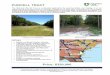 Purcell Tract - Amazon S3s3. Tract.pdfآ  The 99.5-acre Purcell Tract is a blended opportunity for growing
