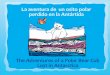 THE ADVENTURES OF A POLAR BEAR CUB LOST IN ANTARCTICA … · 6 Esta es la historia de un osito polar llamado «Polo», de color blanco, muy curioso y alegre. Le gustaba explorar y