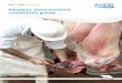 Abattoir post-mortem conditions guide - AHDB Beef & Lambbeefandlamb.ahdb.org.uk/wp-content/uploads/2018/09/... · 31 Post-mortem conditions lists The information in this booklet was