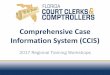 Comprehensive Case Information System (CCIS) ... CCIS Background CCIS Comprehensive Case Information
