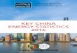 Key China Energy Statistics 2016 · • China’s total primary energy consumption reached 4.26 billion tonnes of coal equivalent (tce), up 2.1% over 2013, and accounting for 23 percent