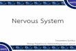 Nervous System - biology.mwit.ac.thbiology.mwit.ac.th/Resource/AnatomyPDF/12_Nervous_2_2018.pdf ·  Co-Ordinating System