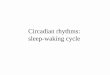 Circadian rhythms: sleep-waking cycle - Cog Scichiba/circadian_rhythms_07.pdfCircadian rhythms: sleep-waking cycle. Biological rhythms (periodic physiological fluctuations) Types of