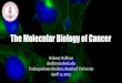 The Molecular Biology of Cancer - Stanford Universitystanford.edu/~dsull/Cancer_Biology.pdfThe Molecular Biology of Cancer Delaney Sullivan dsull@stanford.edu Undergraduate Student,