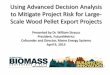 Using Advanced Decision Analysis to Mitigate Project Risk ...futuremetrics.info/wp-content/uploads/2013/07/Pellet-Export-Project... · Using Advanced Decision Analysis to Mitigate